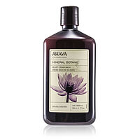 Ahava
