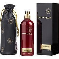 Montale Paris Sliver Aoud