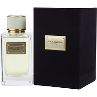 Dolce & Gabbana Velvet Pure