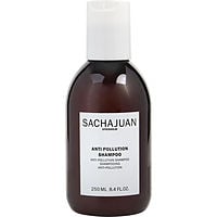 Sachajuan