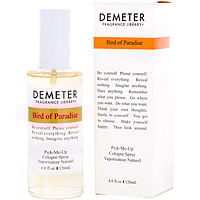 Demeter Bird Of Paradise