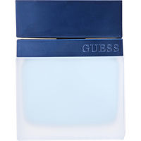 Guess Seductive Homme Blue