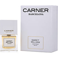 Carner Barcelona Sweet William