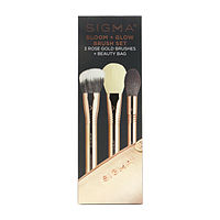 Sigma Beauty