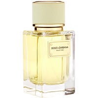 Dolce & Gabbana Velvet Pure