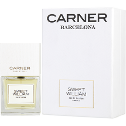 Carner Barcelona Sweet William