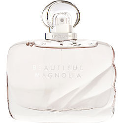 Beautiful Magnolia