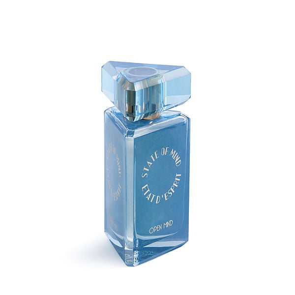 State Of Mind Open Mind by State Of Mind, Eau De Parfum Spray 3.4 oz