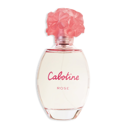 Cabotine Rose
