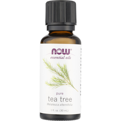 Essential Oils Now