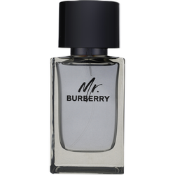 Mr Burberry
