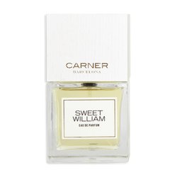 Carner Barcelona Sweet William