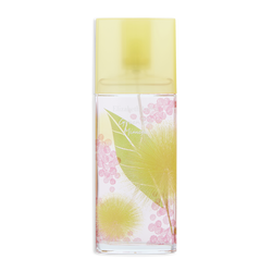 Green Tea Mimosa