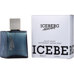 Iceberg