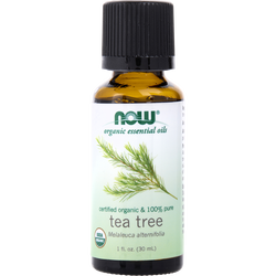 Essential Oils Now