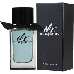 Mr Burberry