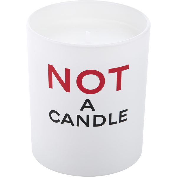 Not A Perfume by Juliette Has A Gun, Scented Candle 6.35 oz