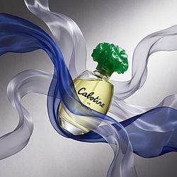 Cabotine