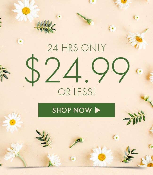 24 Hours only. $24.99 or Less! Shop Now