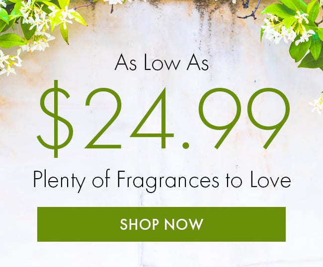 As Low As $24.99. Plenty of Fragrances To Love. Shop Now