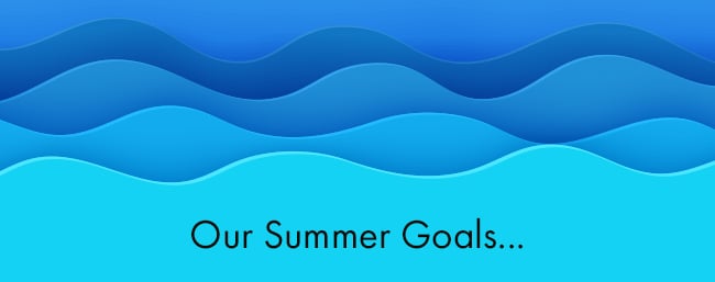 Our Summer Goals...