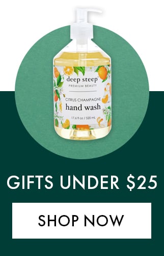 Gifts Under $25. Shop Now