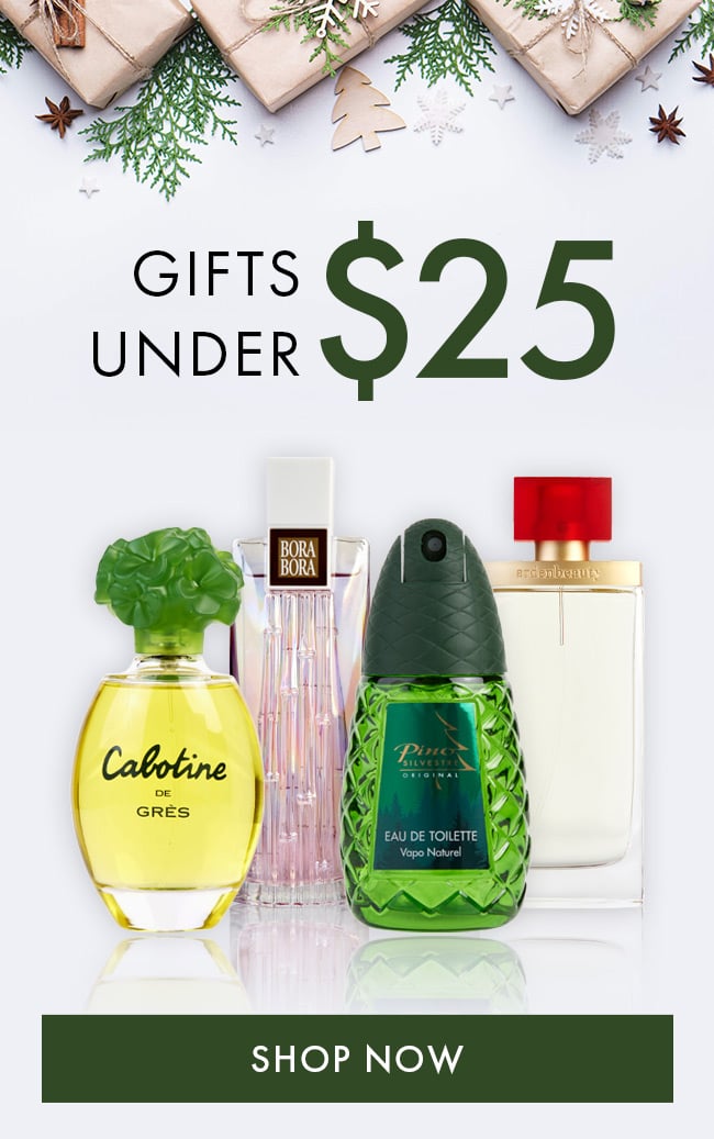 Gifts Under $25. Shop Now