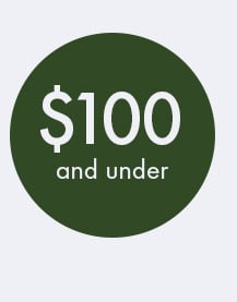 $100 and Under