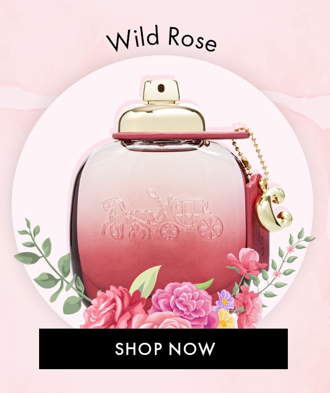 Wild Rose. Shop Now