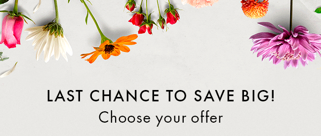 Last Chance to Save Big! Choose Your Offer