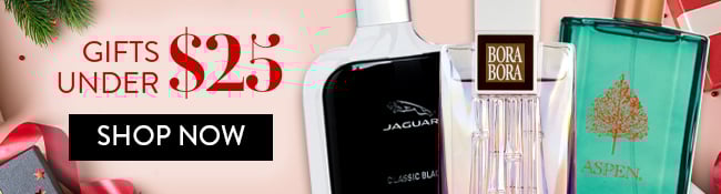 Gifts Under $25. Shop Now