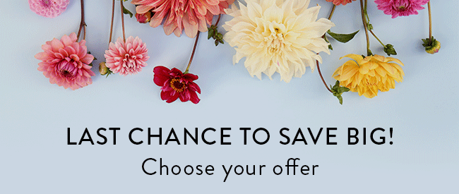 Last Chance To Save Big! Choose Your Offer