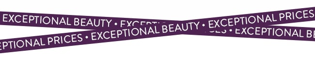 Exceptional Beauty - Exceptional Prices