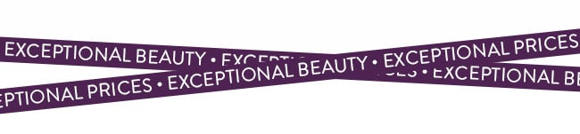 Exceptional Prices. Exceptional Beauty