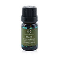 Natural Beauty Essential Oil Blend - Plant Extraction for women