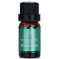 Natural Beauty Essential Oil - Eucalyptus for women