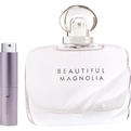 Beautiful Magnolia