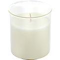 Sandalwood & Patchouli Esque Candle Insert for unisex