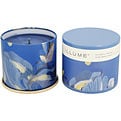Illume Citrus Crush Vanity Tin Candle for unisex