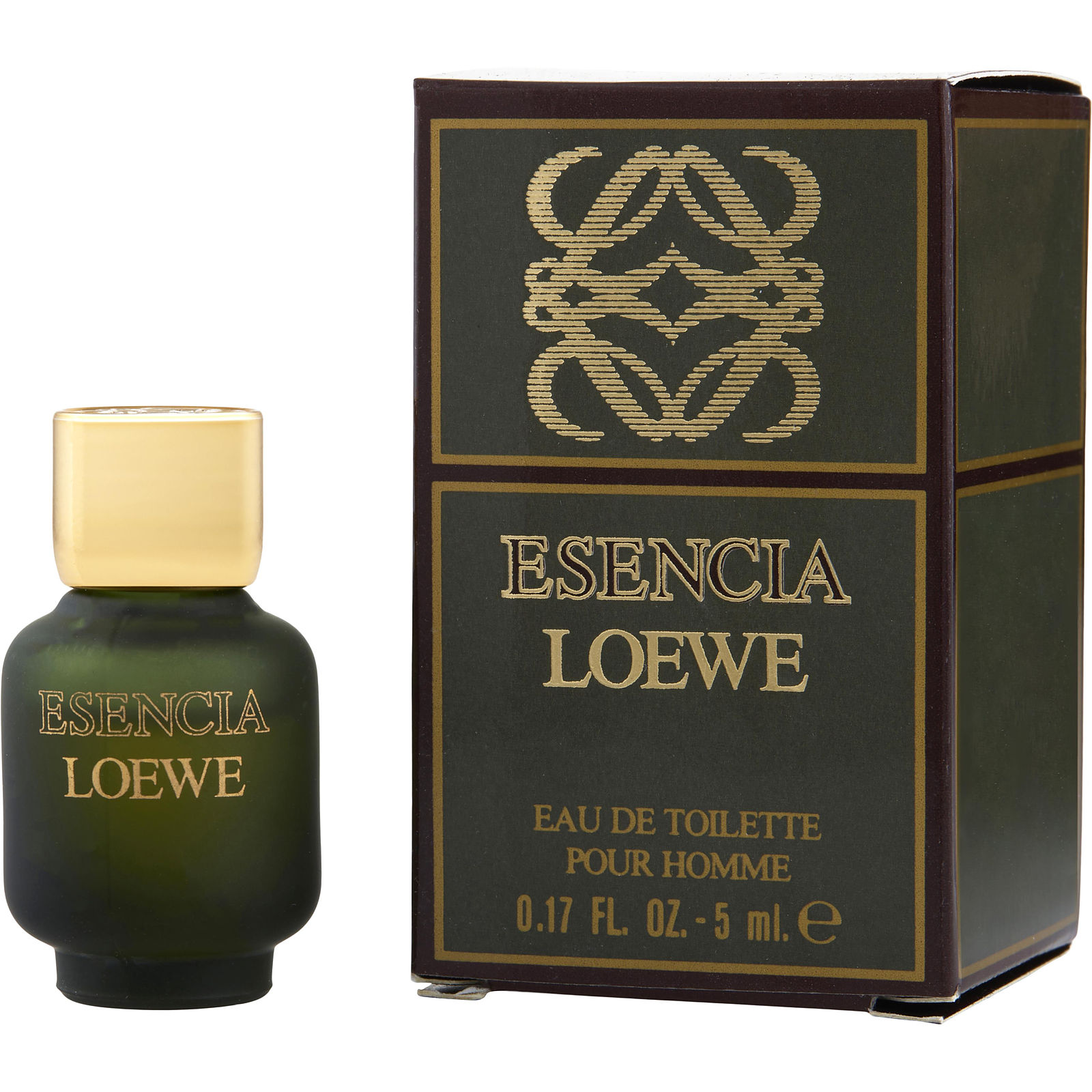 Loewe Esencia Eau de Parfum 100ml | Liberty