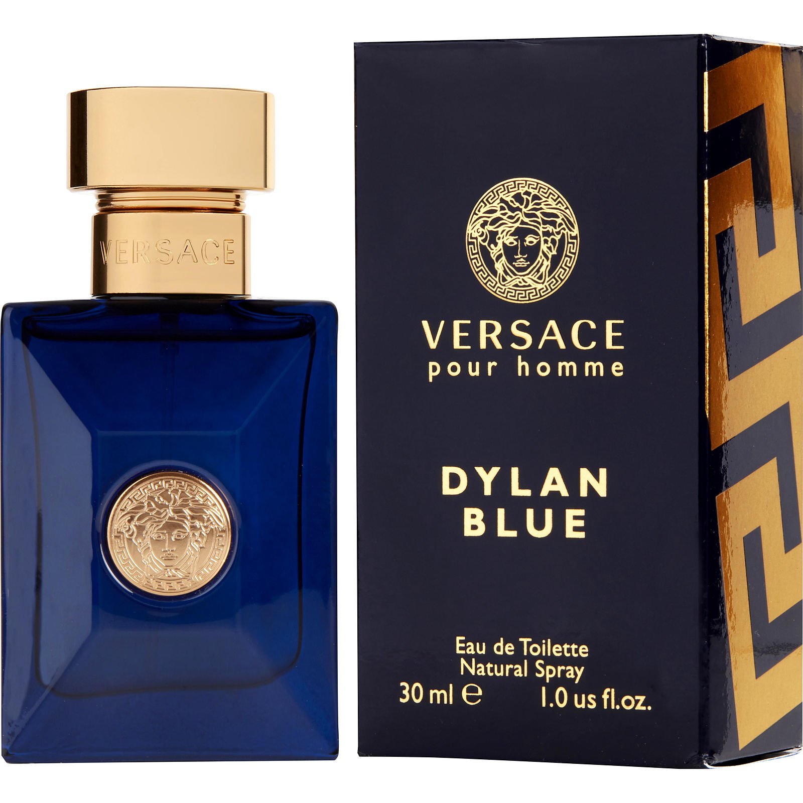 香水(男性用) VERSACE DYLAN BLUE 100ml Eau de Toilette Versace Dylan Blue Eau de Toilette | FragranceNet.com®