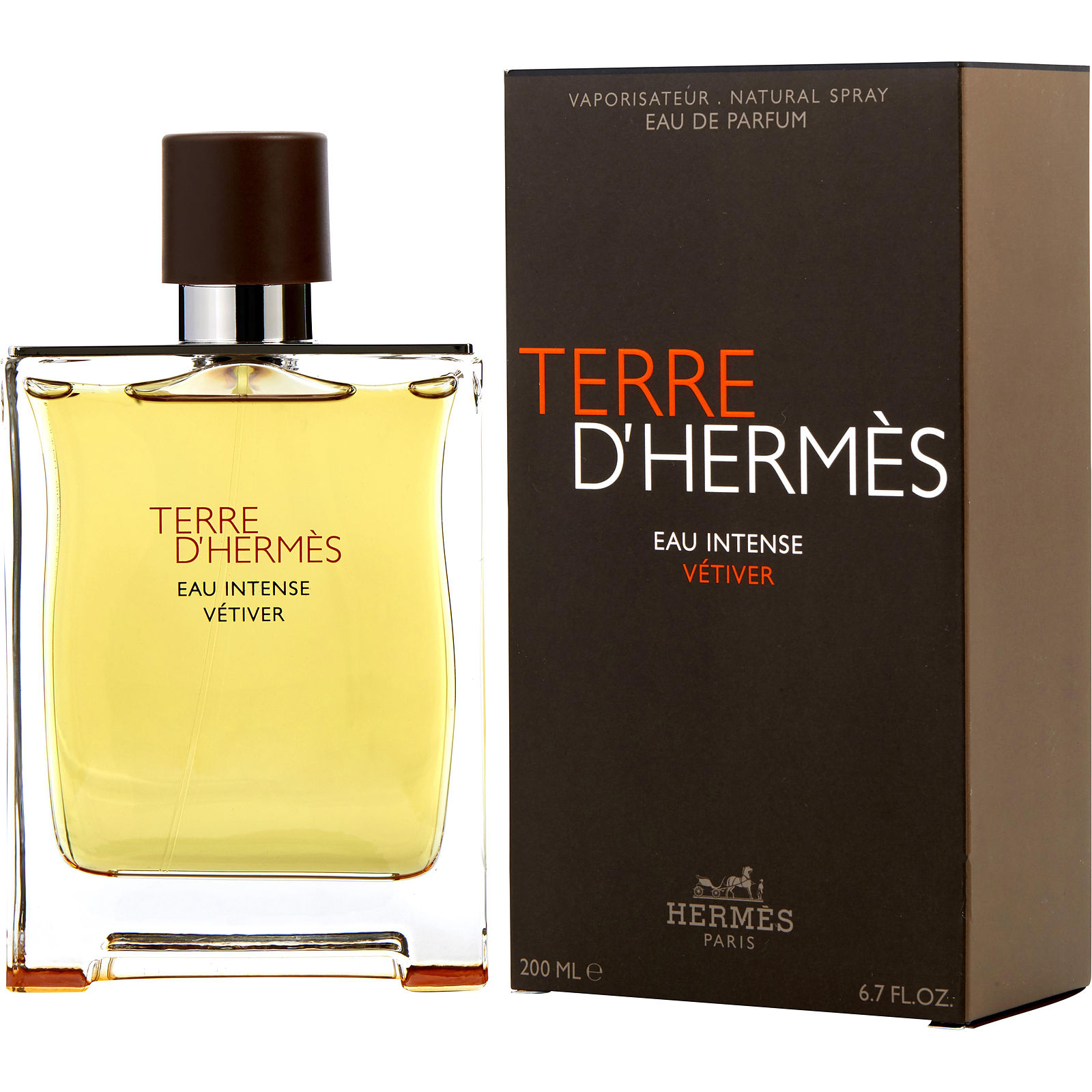 TERRE D'HERMÈS Eau Intense Vétiver 100ml 328331.jpg