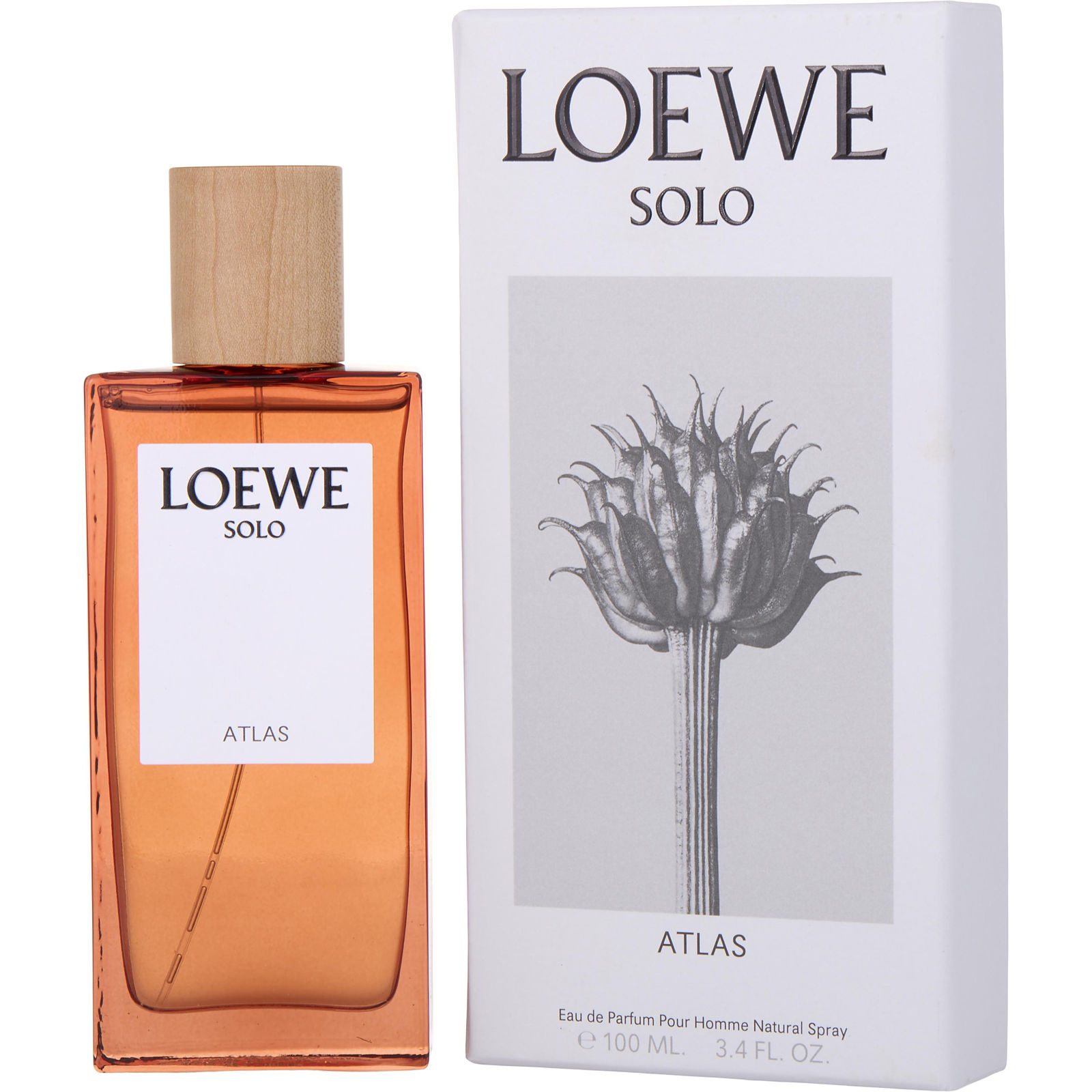 Solo Loewe Atlas Cologne for Men by Loewe at FragranceNet.com®