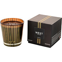 Nest Hearth