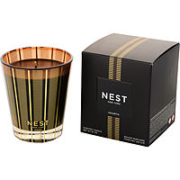 Nest Hearth