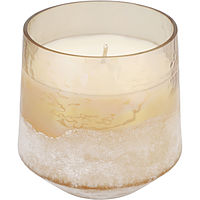 Illume Coconut Milk Mango