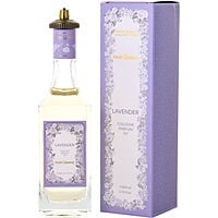 Parfumane Lavender