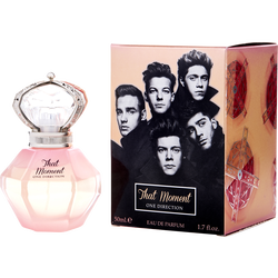 One Direction That Moment