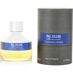 Pal Zileri Cashmere E Ambra