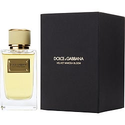 Dolce & Gabbana Velvet Mimosa Bloom Perfume | FragranceNet.com